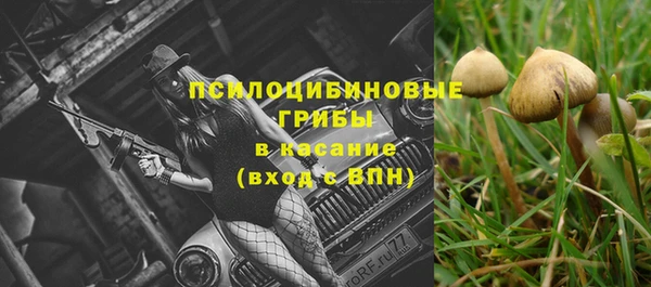 гашик Бугульма