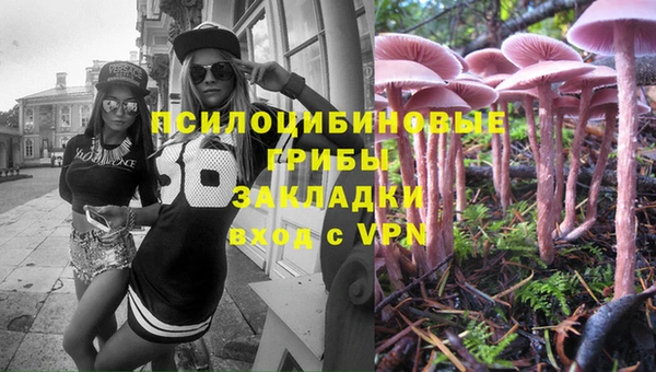 ешки Бронницы