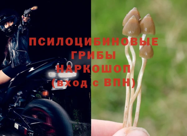 ешки Бронницы
