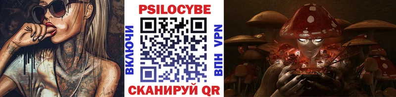 Псилоцибиновые грибы Magic Shrooms  Купить закладки  Павловск 